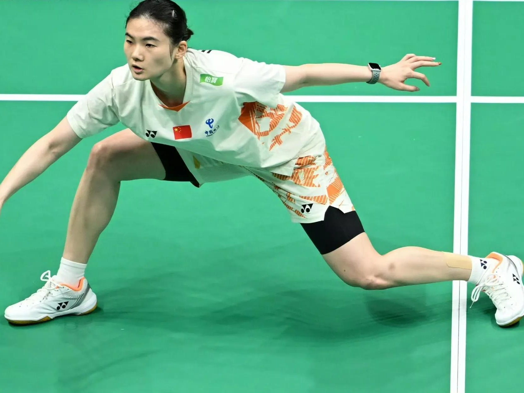 日本队完胜韩国队，陈雨菲高光表现的简单介绍