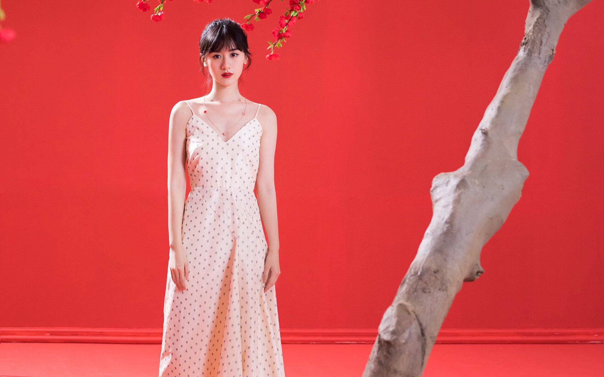 网球江山如此多娇，拉沃尔杯力克联合杯，德约科维奇状态诠释唯一性