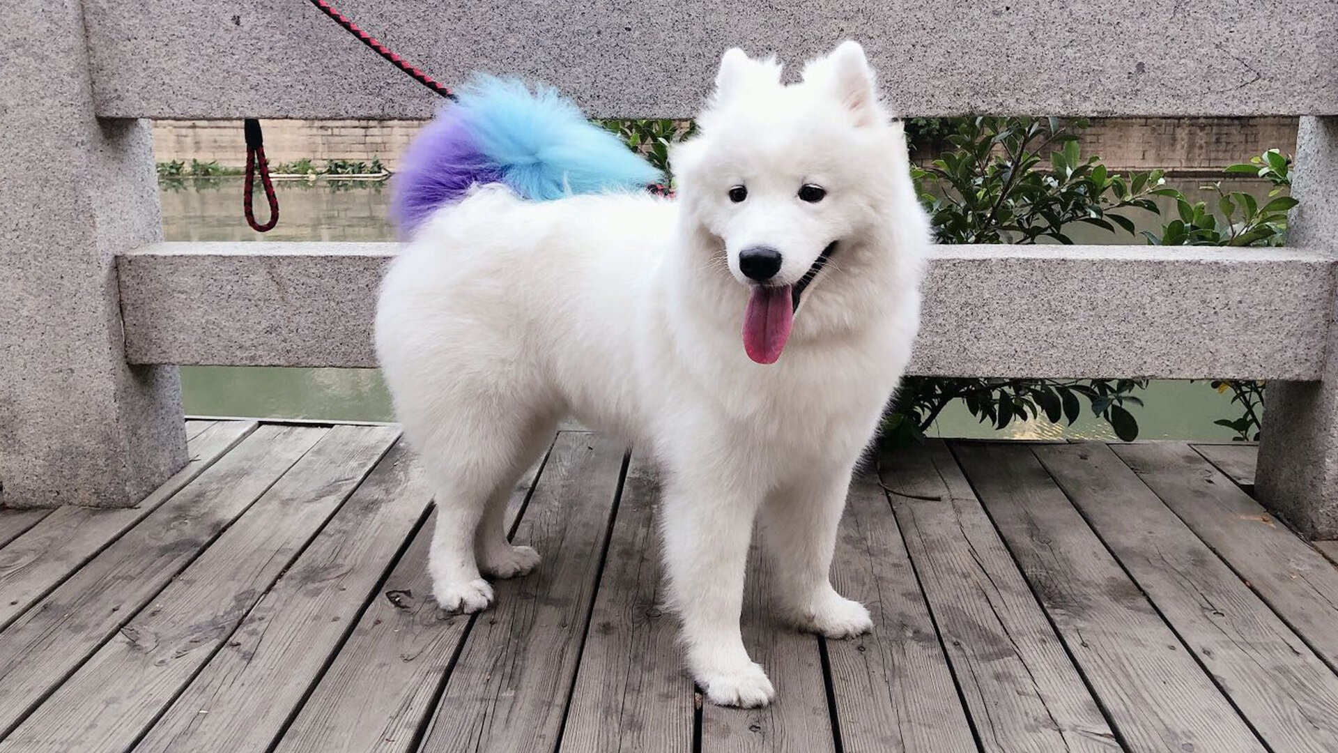 狂胜哥伦比亚！无名英雄拉亚一战封神，这场胜利为何是韩国足球的唯一？