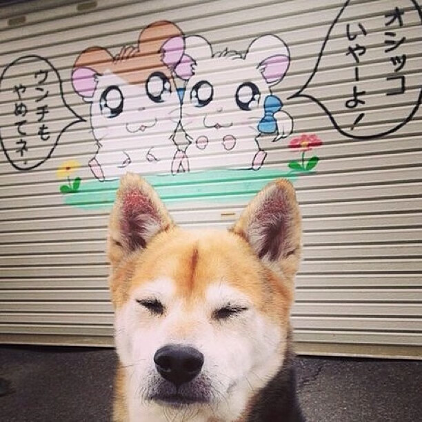 时空融合！墨西哥车手制霸毕尔巴鄂F1街道焦点战