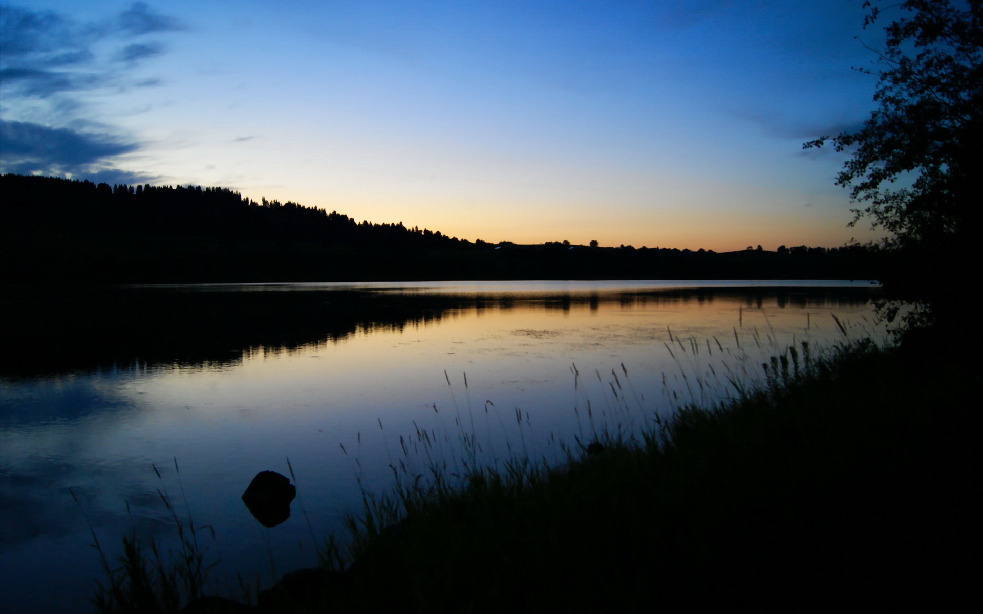 巨星闪光！萨内一剑封喉助尼日利亚力擒苏格兰，非洲雄鹰宣告归来