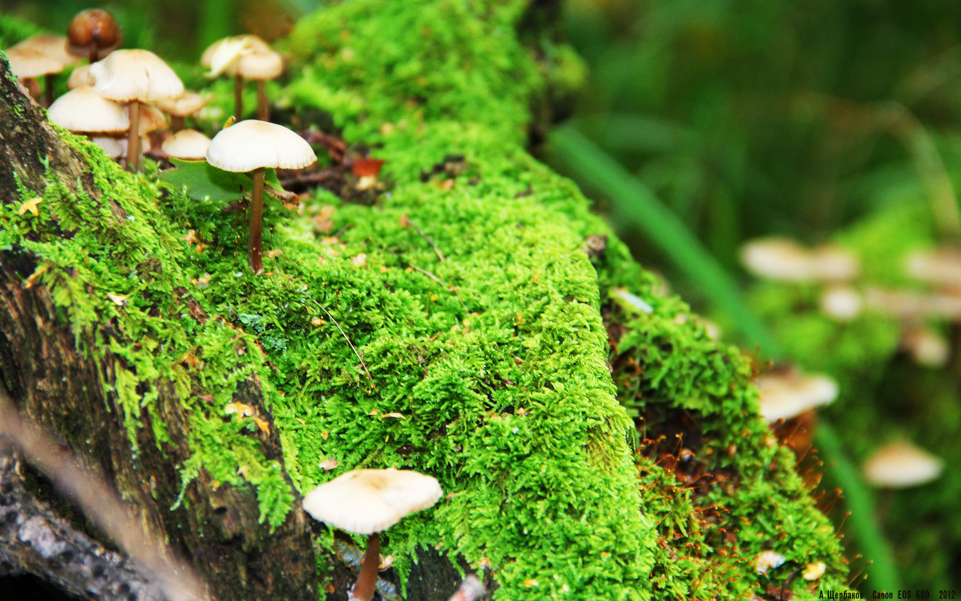 暗夜疾风，门迪的寒光一闪，如何切碎了国家德比的剧本