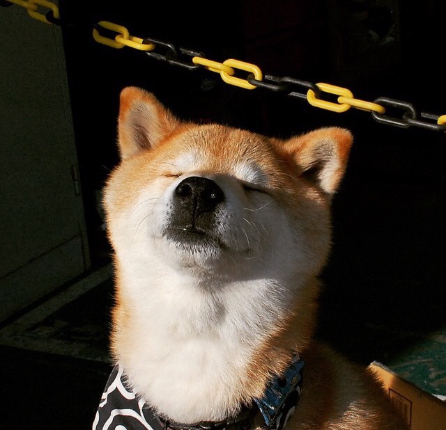 夜之利刃，当巴雷拉用方向笔在都市丛林中画出统治的弧光