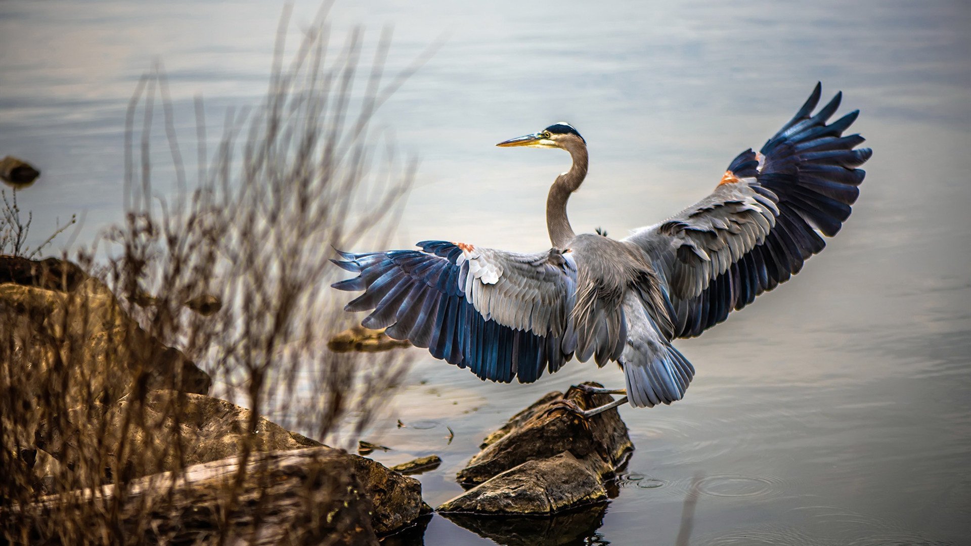 破茧成蝶，黄喜灿关键节点连续得分，定义塞维利亚对决巴黎的终极剧本