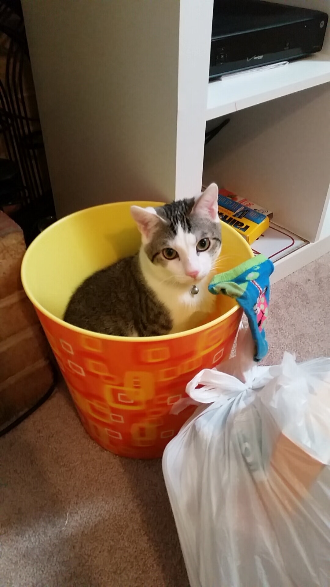 足球战争—当智利与法国的绿茵场上，托尼的一脚将天堂之路踩成地狱入口