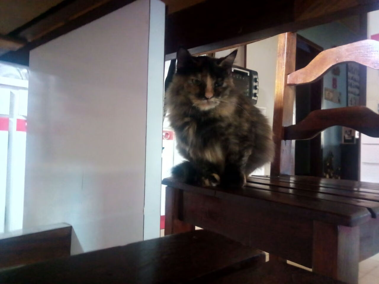 错位时空的统治，当穆勒乱入厄瓜多尔对阵克罗地亚之战